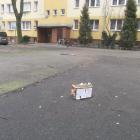 Fotka nr 2 z 23