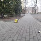 Fotka nr 3 z 23