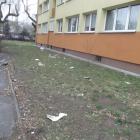 Fotka nr 4 z 23