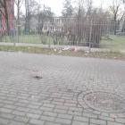 Fotka nr 5 z 23