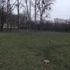 zdjęcie nr 22