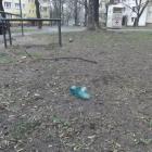 zdjęcie nr 23