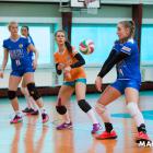 Fotka nr 2 z 18