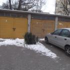 Fotka nr 2 z 3