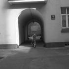 zdjęcie nr 21