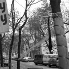 zdjęcie nr 61