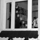 zdjęcie nr 70