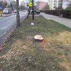 zdjęcie nr 7