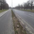 zdjęcie nr 35