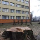 Nie widać wielkich śladów degradacji