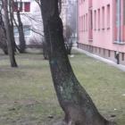 zdjęcie nr 16