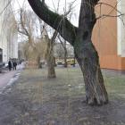 zdjęcie nr 19