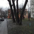 zdjęcie nr 8