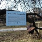 zdjęcie nr 13
