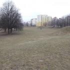 zdjęcie nr 41