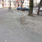 zdjęcie nr 13