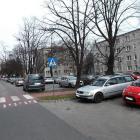 zdjęcie nr 15
