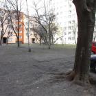 zdjęcie nr 23
