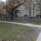 zdjęcie nr 26