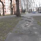 zdjęcie nr 28