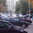 zdjęcie nr 9