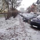 zdjęcie nr 11