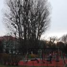 zdjęcie nr 18