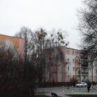 zdjęcie nr 21