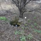 zdjęcie nr 8