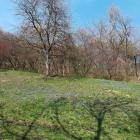 zdjęcie nr 39