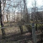 zdjęcie nr 8
