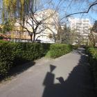 zdjęcie nr 11