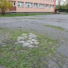 Ciekawy jestem czy będzie koszenie?