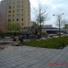zdjęcie nr 9