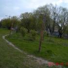 zdjęcie nr 8