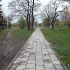 zdjęcie nr 31