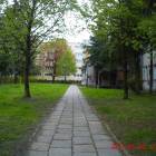 Fotka nr 2 z 32