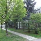 zdjęcie nr 32