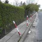 zdjęcie nr 48