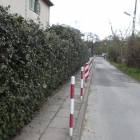 zdjęcie nr 58