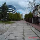 zdjęcie nr 101