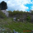 zdjęcie nr 43