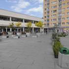 zdjęcie nr 21