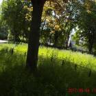 Fotka nr 5 z 14