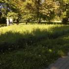 zdjęcie nr 10