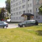 Fotka nr 2 z 10