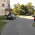 Fotka nr 4 z 10