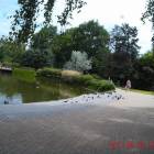 zdjęcie nr 30