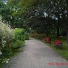 zdjęcie nr 35