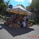zdjęcie nr 7